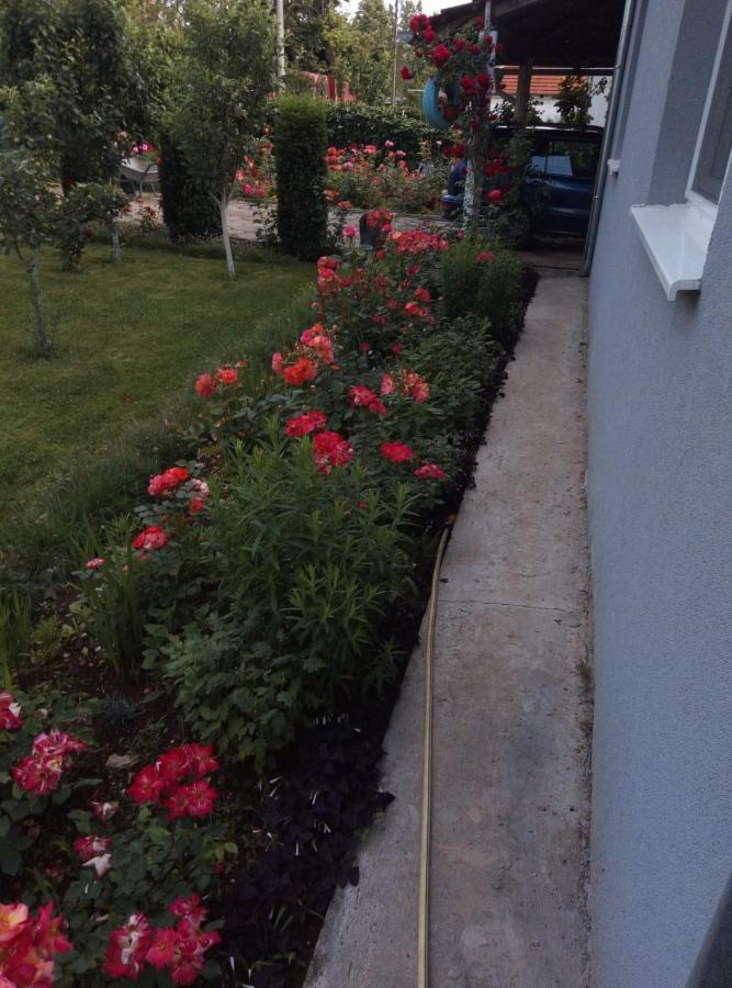 Kuca Za Odmor Duranovic Apartment Kladovo Bagian luar foto